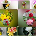 Thành lập công ty cầm đồ tại Phú Thọ 12 Muốn thành lập doanh nghiệp cầm đồ tại Phú Thọ