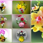 Thành lập công ty cầm đồ tại Quảng Ninh 6 Muốn thành lập doanh nghiệp cầm đồ tại Quảng Ninh