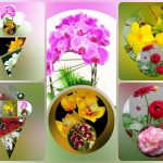Thành lập công ty cầm đồ tại Thái Nguyên 6 Muốn thành lập doanh nghiệp cầm đồ tại Thái Nguyên
