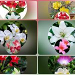 Thành lập công ty cầm đồ tại Tiền Giang 6 Muốn thành lập doanh nghiệp cầm đồ tại Tiền Giang