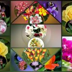 Thành lập công ty cầm đồ tại Tuyên Quang 6 Muốn thành lập doanh nghiệp cầm đồ tại Tuyên Quang