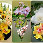 Thành lập công ty cầm đồ tại Vũng Tàu 6 Muốn thành lập doanh nghiệp cầm đồ tại Vũng Tàu