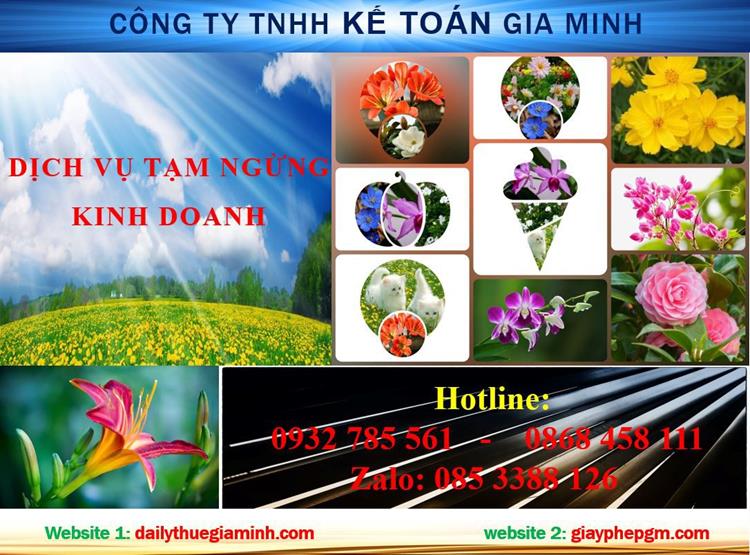 Tạm ngừng hoạt động doanh nghiệp tại Đà Nẵng 4 Thủ tục tạm ngừng doanh nghiệp tại Đà Nẵng