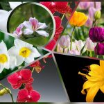 Tạm ngừng hoạt động doanh nghiệp tại Điện Biên 6 Muốn tạm ngừng doanh nghiệp tại Điện Biên