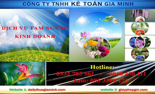 Tạm ngừng hoạt động doanh nghiệp tại Điện Biên 4 Thủ tục tạm ngừng doanh nghiệp tại Điện Biên