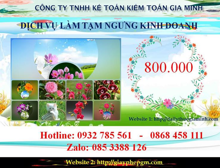 Tạm ngừng hoạt động doanh nghiệp tại huyện Thạch Thất 5 Chi phí tạm ngừng doanh nghiệp tại huyện Thạch Thất