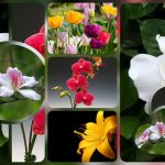 Tạm ngừng hoạt động doanh nghiệp tại huyện Thạch Thất 6 Muốn tạm ngừng doanh nghiệp tại huyện Thạch Thất