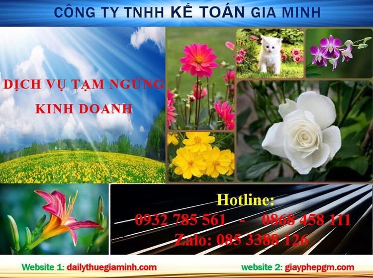 Tạm ngừng hoạt động doanh nghiệp tại huyện Thạch Thất 4 Thủ tục tạm ngừng doanh nghiệp tại huyện Thạch Thất