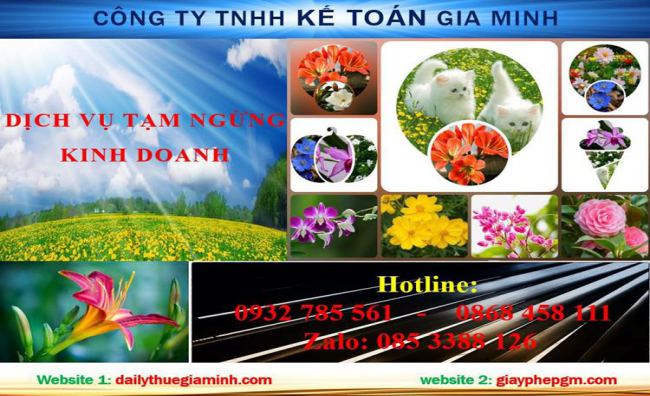 Tạm ngừng hoạt động doanh nghiệp tại Lạng Sơn 4 Thủ tục tạm ngừng doanh nghiệp tại Lạng Sơn