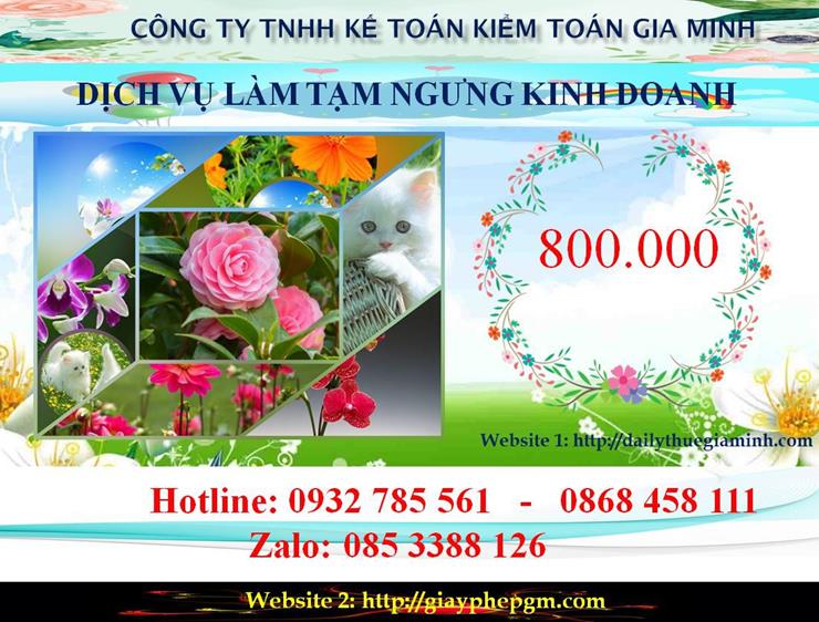 Tạm ngừng hoạt động doanh nghiệp tại Lào Cai 5 Chi phí tạm ngừng doanh nghiệp tại Lào Cai