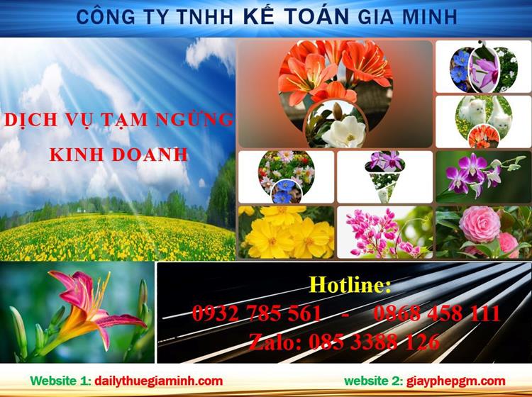Tạm ngừng hoạt động doanh nghiệp tại Lào Cai 4 Thủ tục tạm ngừng doanh nghiệp tại Lào Cai