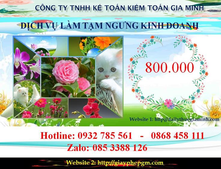 Tạm ngừng hoạt động doanh nghiệp tại thành phố Hồ Chí Minh 5 Chi phí tạm ngừng hoạt động doanh nghiệp tại thành phố Hồ Chí Minh