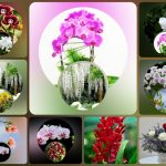 Tạm ngừng hoạt động doanh nghiệp tại thành phố Hồ Chí Minh 6 Muốn tạm ngừng doanh nghiệp tại thành phố Hồ Chí Minh
