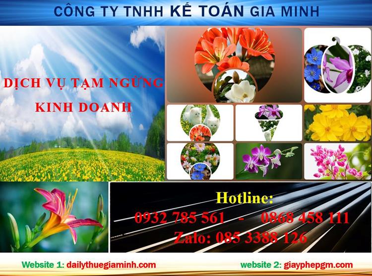 Tạm ngừng hoạt động doanh nghiệp tại thành phố Hồ Chí Minh 4 Thủ tục tạm ngừng hoạt động doanh nghiệp tại thành phố Hồ Chí Minh