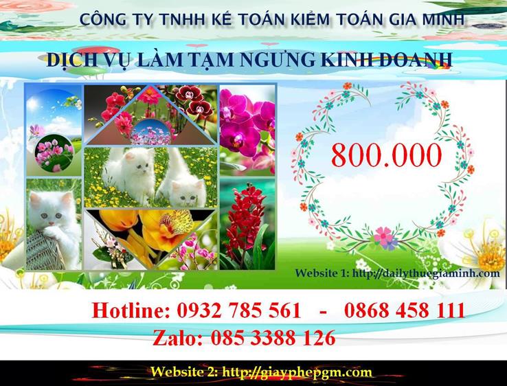 Tạm ngừng hoạt động doanh nghiệp tại Vũng Tàu 5 Chi phí tạm ngừng doanh nghiệp tại Vũng Tàu