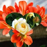 Tạm ngừng hoạt động doanh nghiệp tại Vũng Tàu 6 Muốn tạm ngừng doanh nghiệp tại Vũng Tàu