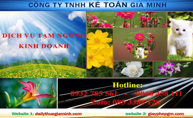 Tạm ngừng hoạt động doanh nghiệp tại Vũng Tàu 4 Thủ tục tạm ngừng doanh nghiệp tại Vũng Tàu