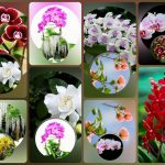 Tạm ngừng hoạt động doanh nghiệp tại Yên Bái 6 Muốn tạm ngừng doanh nghiệp tại Yên Bái
