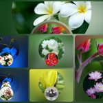 Thành lập công ty TNHH có vốn đầu tư nước ngoài tại Đà Nẵng 6 Cần thành lập công ty có vốn đầu tư nước ngoài tại Đà Nẵng