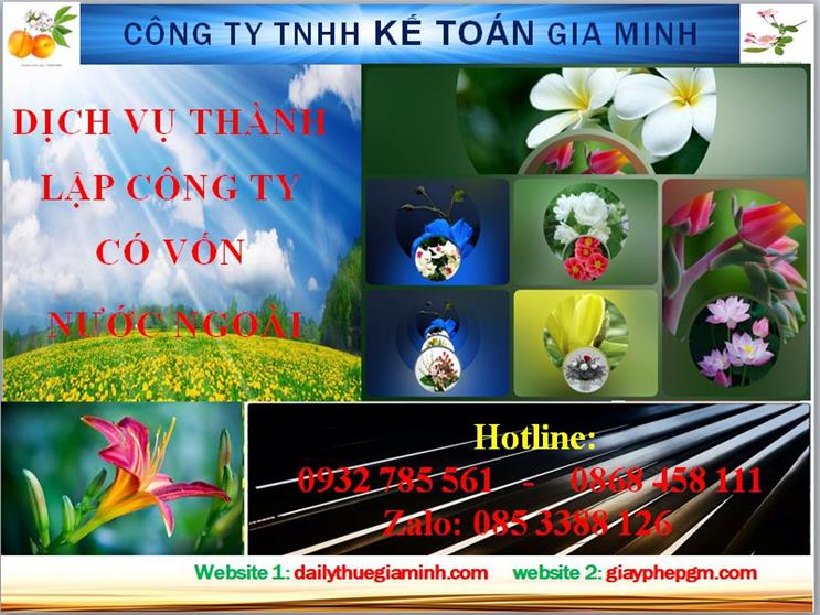 Thành lập công ty TNHH có vốn đầu tư nước ngoài tại Đà Nẵng 4 Thủ tục thành lập công ty TNHH có vốn đầu tư nước ngoài tại Đà Nẵng