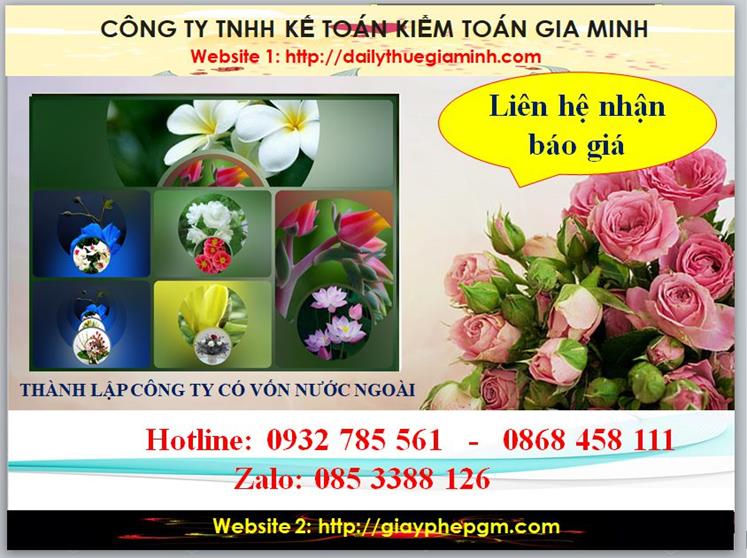 Thành lập công ty TNHH có vốn đầu tư nước ngoài tại Điện Biên 5 Chi phí thành lập doanh nghiệp có vốn đầu tư nước ngoài tại Điện Biên