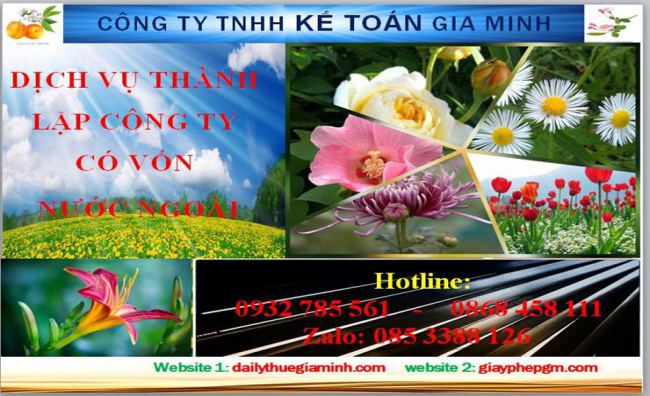 Thành lập công ty TNHH có vốn đầu tư nước ngoài tại Điện Biên 4 Thủ tục thành lập công ty TNHH có vốn đầu tư nước ngoài tại Điện Biên