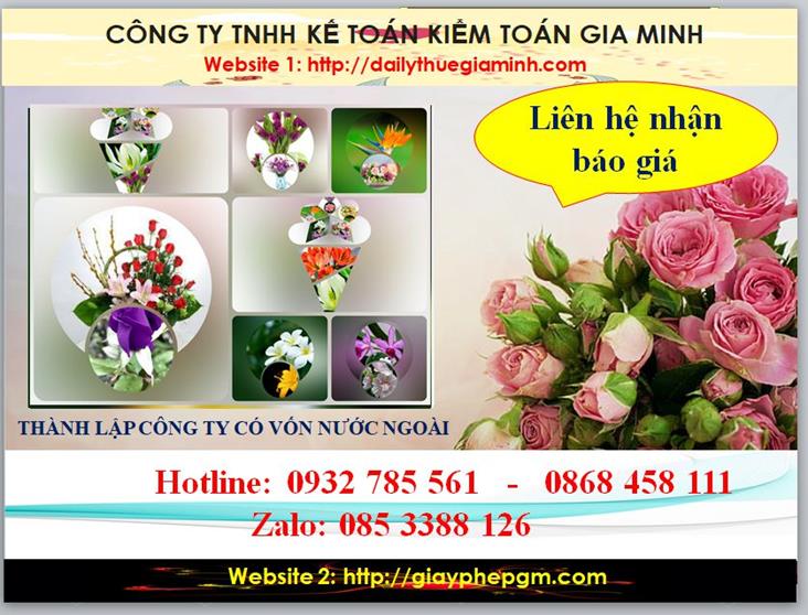 Thành lập công ty TNHH có vốn đầu tư nước ngoài tại Đồng Tháp 5 Chi phí thành lập doanh nghiệp có vốn đầu tư nước ngoài tại Đồng Tháp
