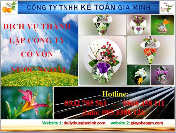 Thành lập công ty TNHH có vốn đầu tư nước ngoài tại Đồng Tháp 4 Thủ tục thành lập công ty TNHH có vốn đầu tư nước ngoài tại Đồng Tháp