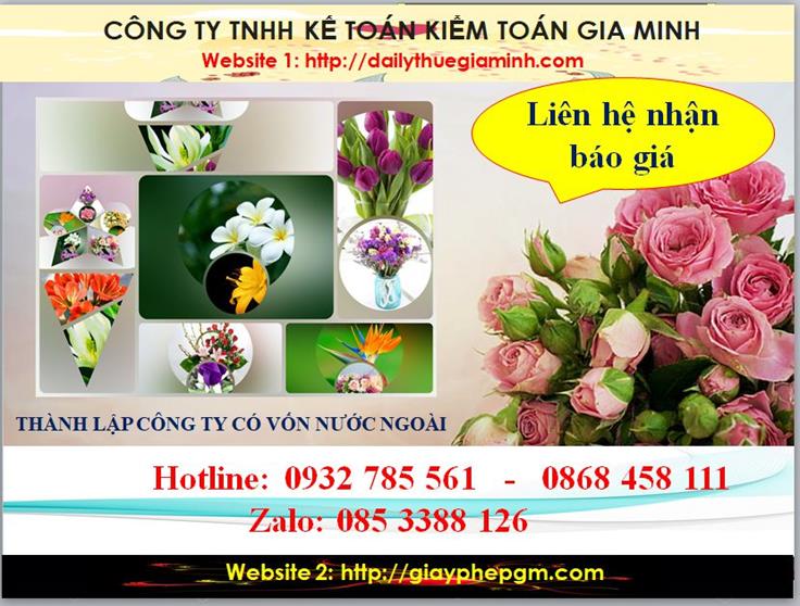 Thành lập công ty TNHH có vốn đầu tư nước ngoài tại Huế 5 Chi phí thành lập doanh nghiệp có vốn đầu tư nước ngoài tại Huế