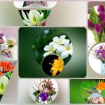 Thành lập công ty TNHH có vốn đầu tư nước ngoài tại Huế 6 Cần thành lập công ty có vốn đầu tư nước ngoài tại Huế