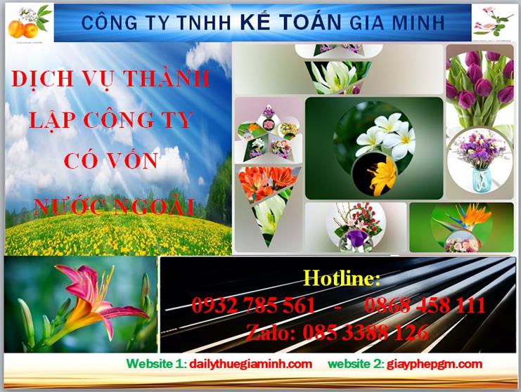 Thành lập công ty TNHH có vốn đầu tư nước ngoài tại Huế 4 Thủ tục thành lập công ty TNHH có vốn đầu tư nước ngoài tại Huế