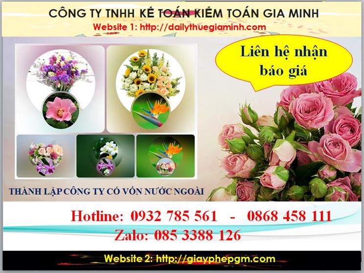 Thành lập công ty TNHH có vốn đầu tư nước ngoài tại Huyện Hà Nội 5 Chi phí thành lập doanh nghiệp có vốn đầu tư nước ngoài tại Huyện Hà Nội