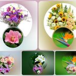 Thành lập công ty TNHH có vốn đầu tư nước ngoài tại Huyện Hà Nội 6 Cần thành lập công ty có vốn đầu tư nước ngoài tại Huyện Hà Nội