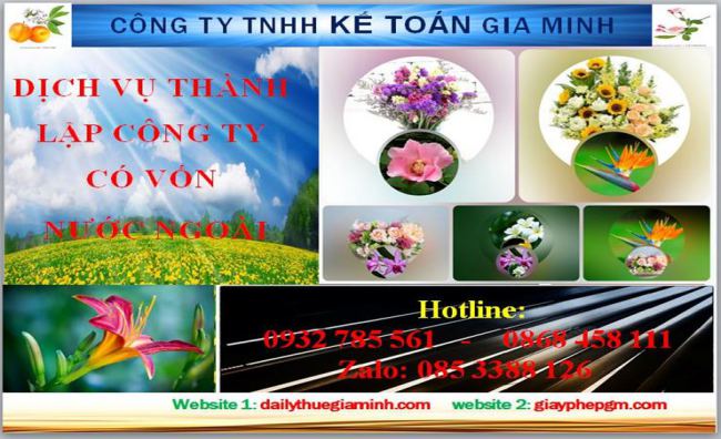 Thành lập công ty TNHH có vốn đầu tư nước ngoài tại Huyện Hà Nội 4 Thủ tục thành lập công ty TNHH có vốn đầu tư nước ngoài tại Huyện Hà Nội