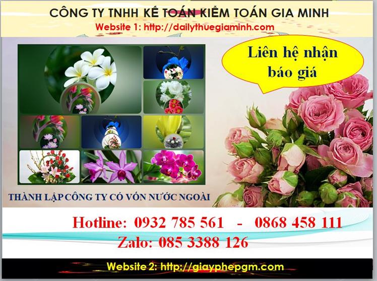 Thành lập công ty TNHH có vốn đầu tư nước ngoài tại Khánh Hòa 5 Chi phí thành lập doanh nghiệp có vốn đầu tư nước ngoài tại Khánh Hòa