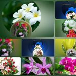 Thành lập công ty TNHH có vốn đầu tư nước ngoài tại Khánh Hòa 6 Cần thành lập công ty có vốn đầu tư nước ngoài tại Khánh Hòa