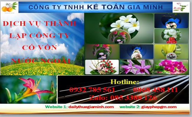 Thành lập công ty TNHH có vốn đầu tư nước ngoài tại Khánh Hòa 4 Thủ tục thành lập công ty TNHH có vốn đầu tư nước ngoài tại Khánh Hòa