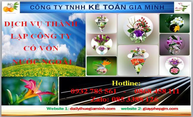 Thành lập công ty TNHH có vốn đầu tư nước ngoài tại Phú Yên 4 Thủ tục thành lập công ty TNHH có vốn đầu tư nước ngoài tại Phú Yên