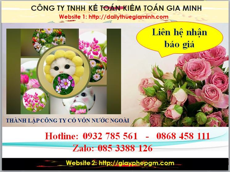 Thành lập công ty TNHH có vốn đầu tư nước ngoài tại Quận 1 5 Chi phí thành lập doanh nghiệp có vốn đầu tư nước ngoài tại Quận 1