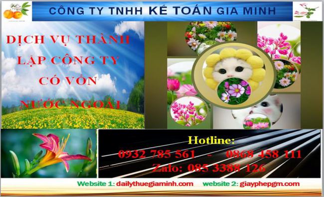 Thành lập công ty TNHH có vốn đầu tư nước ngoài tại Quận 1 4 Thủ tục thành lập công ty TNHH có vốn đầu tư nước ngoài tại Quận 1