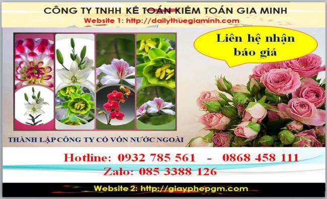 Thành lập công ty TNHH có vốn đầu tư nước ngoài tại Quận 2 5 Chi phí thành lập doanh nghiệp có vốn đầu tư nước ngoài tại Quận 2