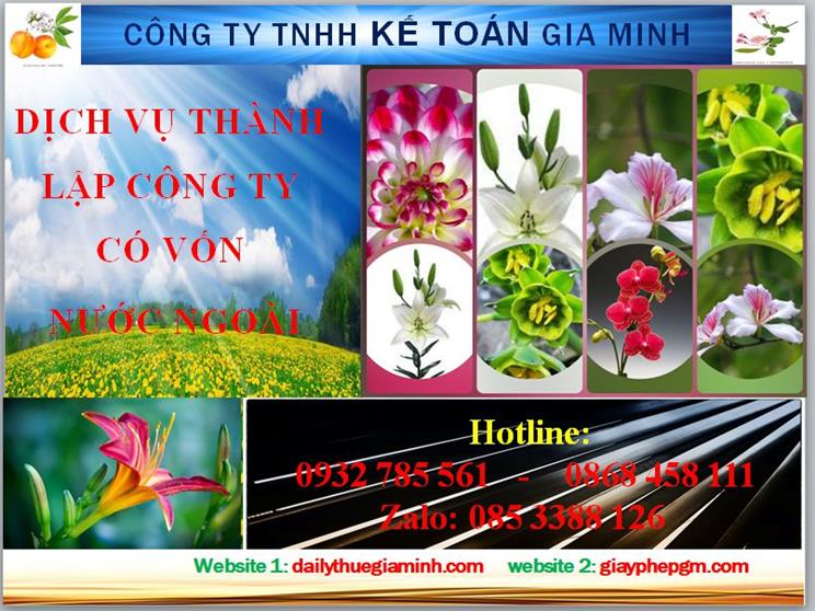 Thành lập công ty TNHH có vốn đầu tư nước ngoài tại Quận 2 4 Thủ tục thành lập công ty TNHH có vốn đầu tư nước ngoài tại Quận 2