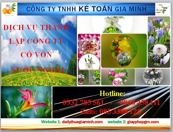 Thành lập công ty TNHH có vốn đầu tư nước ngoài tại Quận 3 4 Thủ tục thành lập công ty TNHH có vốn đầu tư nước ngoài tại Quận 3
