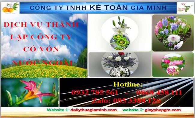 Thành lập công ty TNHH có vốn đầu tư nước ngoài tại Quận 4 4 Thủ tục thành lập công ty TNHH có vốn đầu tư nước ngoài tại Quận 4