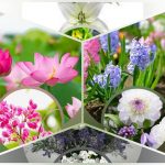 Thành lập công ty TNHH có vốn đầu tư nước ngoài tại Quận 5 6 Cần thành lập công ty có vốn đầu tư nước ngoài tại Quận 5