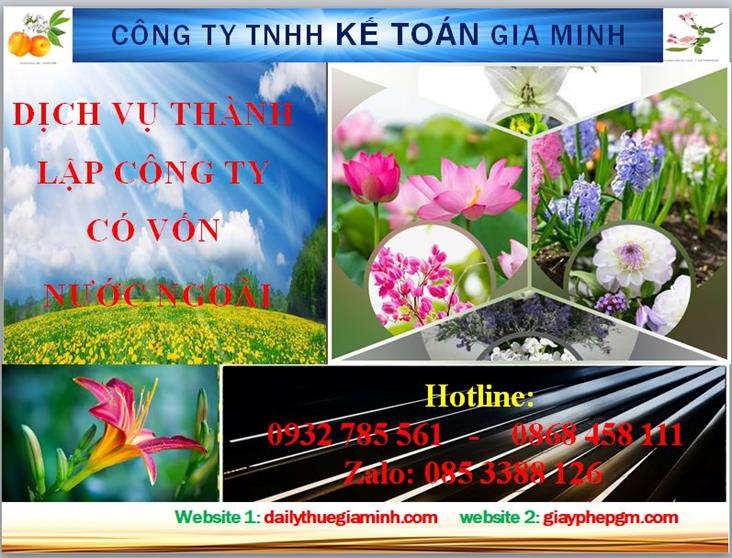 Thành lập công ty TNHH có vốn đầu tư nước ngoài tại Quận 5 4 Thủ tục thành lập công ty TNHH có vốn đầu tư nước ngoài tại Quận 5