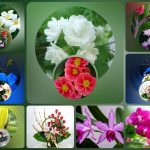 Thành lập công ty TNHH có vốn đầu tư nước ngoài tại Quận 6 6 Cần thành lập công ty có vốn đầu tư nước ngoài tại Quận 6