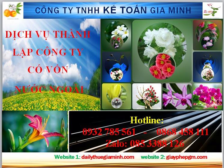 Thành lập công ty TNHH có vốn đầu tư nước ngoài tại Quận 6 4 Thủ tục thành lập công ty TNHH có vốn đầu tư nước ngoài tại Quận 6