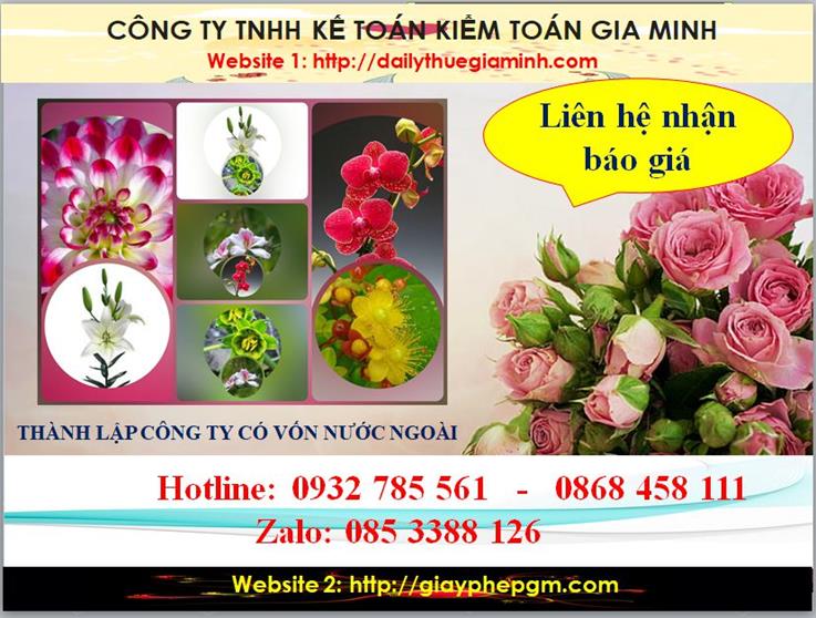 Thành lập công ty TNHH có vốn đầu tư nước ngoài tại Quận Gò Vấp 5 Chi phí thành lập doanh nghiệp có vốn đầu tư nước ngoài tại Quận Gò Vấp