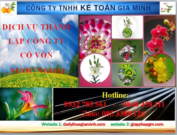 Thành lập công ty TNHH có vốn đầu tư nước ngoài tại Quận Gò Vấp 4 Thủ tục thành lập công ty TNHH có vốn đầu tư nước ngoài tại Quận Gò Vấp